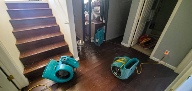 Best Emergency water damage restoration  in Conesus Lake, NY