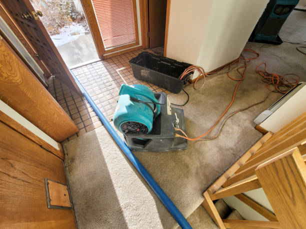 Best Sewage cleanup and water damage restoration  in Conesus Lake, NY