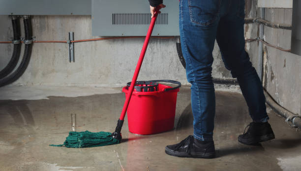 Professional Water damage restoration in Conesus Lake, NY