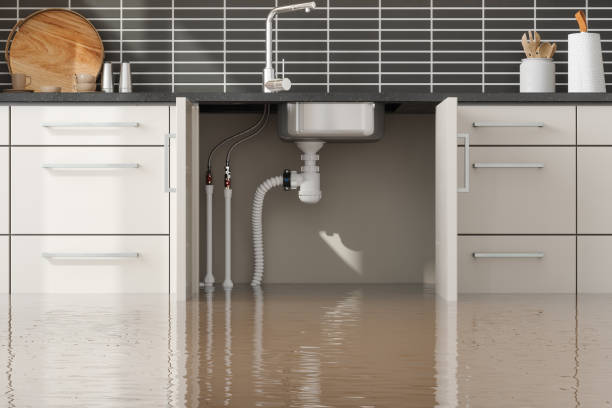 Best Mold removal after water damage  in Conesus Lake, NY