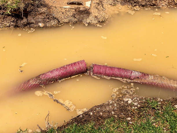 Best Water damage cleanup near me  in Conesus Lake, NY