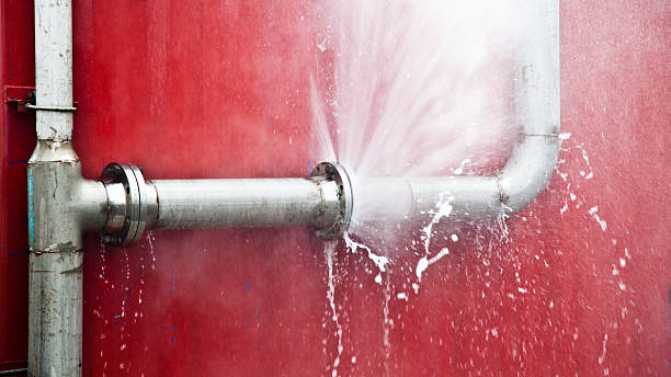 Best Flooded house restoration  in Conesus Lake, NY